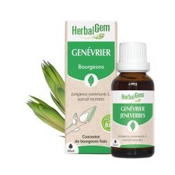 Concentrés de bourgeons Bourgeon de Genévrier - 30 ml