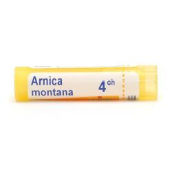 Arnica montana granules - 4 CH