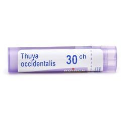 Thuya occidentalis granules homéopathie Boiron - 30 CH