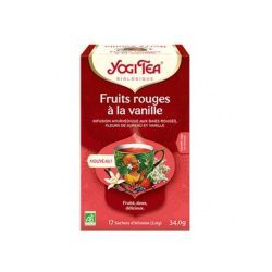Fruit Rouge Vanil - 17 Sachets