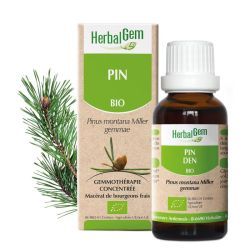 Concentrés de bourgeons Pin des montagnes - 15 ml