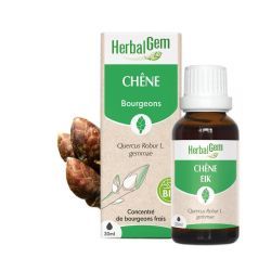 Concentrés de bourgeons Bourgeon de Chêne - 30 ml