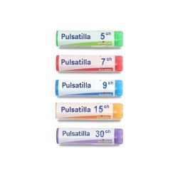Boiron Pulsatilla dose - 30 CH