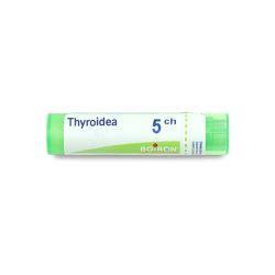 Boiron Thyroidea granules - 5 CH