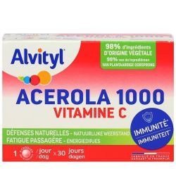 Alvityl Acerola 1000 A Croq Cpr 30