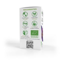 Arkogélules® Passiflore - 45 gélules
