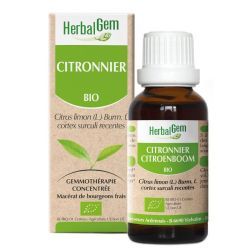 Citronnier macérat bio - 15ml