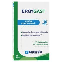 Ergygast Stick Buvable - 20 Sticks