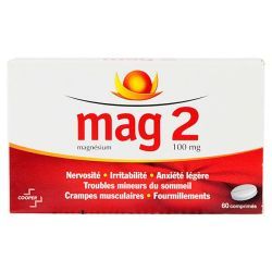 MAG 2 100 mg, comprimé  - 60 comprimés