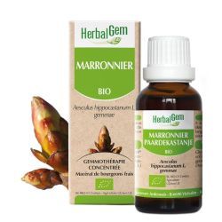 Concentrés de bourgeons Marronnier - 15 ml