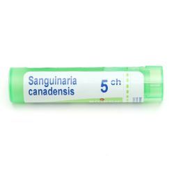 Boiron Sanguinaria canadensis granules - 5 CH
