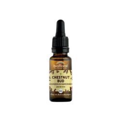 Fleurs Bach Bourgeons Marronnier N7 - 20ml