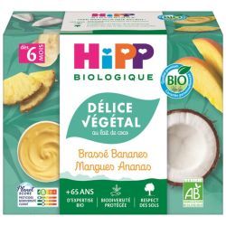 Délice Végétal Brassé Bananes Mangues Ananas - 4x100g
