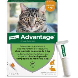 Advantage Chat & Lapin de moins de 4 kg - 4 x 0,4 ml