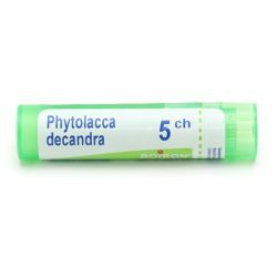 Boiron Phytolacca decandra granules - 5 CH