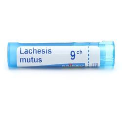 Boiron Lachesis mutus granules - 9 CH