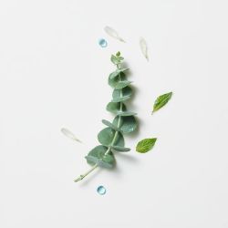 Astera - Concentré apaisant fraîcheur & pureté - 50ml