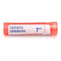 Boiron Hydrastis canadensis granules - 7 CH
