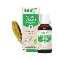 Concentrés de bourgeons Bourgeon de Viorne Lantane - 30 ml