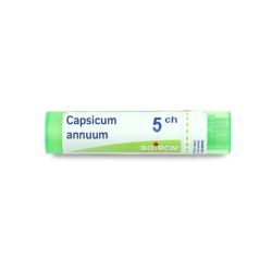 Boiron Capsicum annuum granules - 5 CH