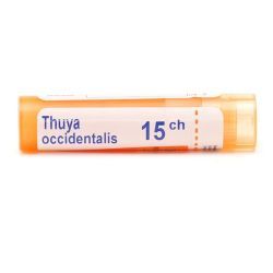Thuya occidentalis granules homéopathie Boiron - 15 CH