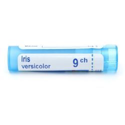 Boiron Iris versicolor granules - 9 CH