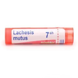Boiron Lachesis mutus granules - 7 CH
