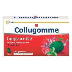 Collugomme Pâte 30 gommes