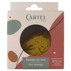 Éponge de Mer Naturelle - 8cm