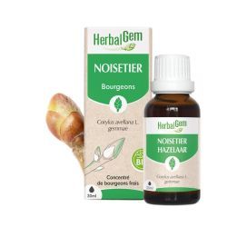 Concentrés de bourgeons Bourgeon de Noisetier - 30ml