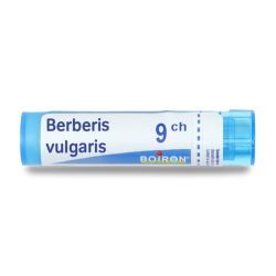 Boiron Berberis vulgaris granules - 9 CH