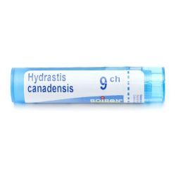 Boiron Hydrastis canadensis granules - 9 CH