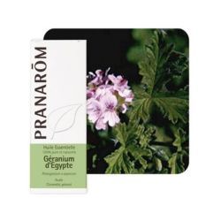 Pranarôm Huile Essentielle Géranium d'Egypte (Pelargonium graveolens) - 10 ml 