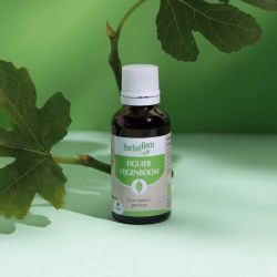 Concentrés de bourgeons Bourgeon de figuier - 30 ml