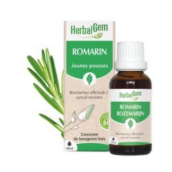 Concentrés de bourgeons Bourgeon de Romarin - 30 ml