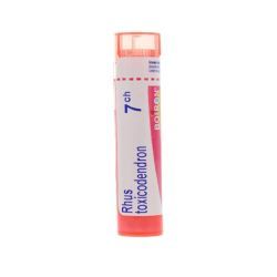 Boiron Rhus toxicodendron granules homéopathiques - 7 CH