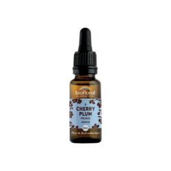 Prunus Cherry Plum N6 - 20ml