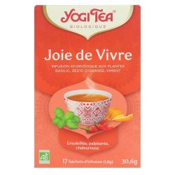 Joie de Vivre Infusion - 17 sachets