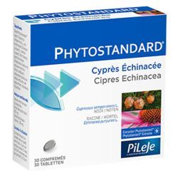 Phytostandard duo de Cyprès et Échinacée