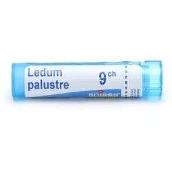 Boiron Ledum palustre granules - 9 CH