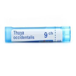Thuya occidentalis granules homéopathie Boiron - 9 CH