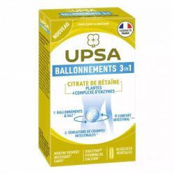 Ballonnements 3 en 1 - 40 Gélules
