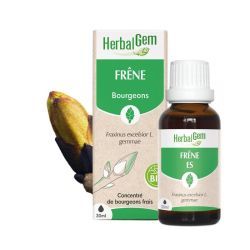 Concentrés de bourgeons Bourgeon de Frêne - 30 ml