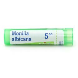 Boiron Monilia albicans granules - 5 CH