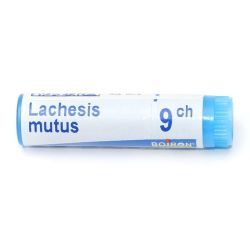 Boiron Lachesis mutus dose - 9 CH