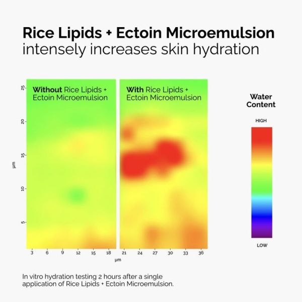 Microémulsion de Lipides de Riz + Ectoïne - 60 ml