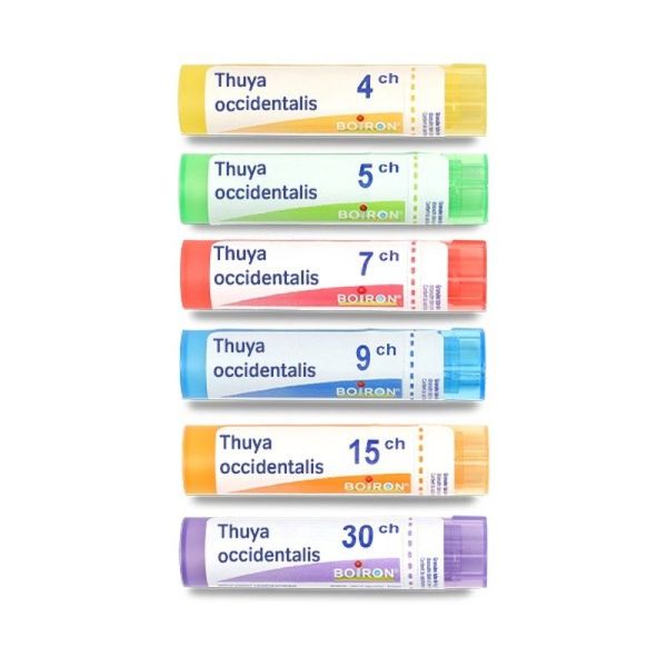 Thuya occidentalis granules homéopathie Boiron - 15 CH