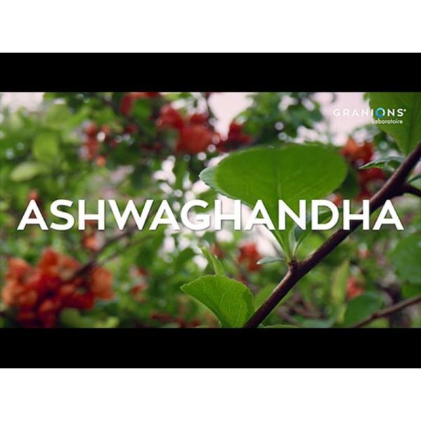 Ashwagandha Bio 1200 mg - 60 comprimés