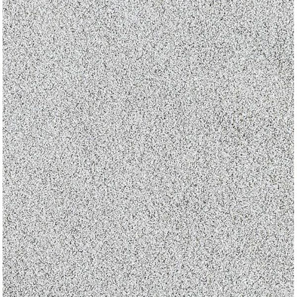 Paillettes Pure Argenté Fines - 5ml