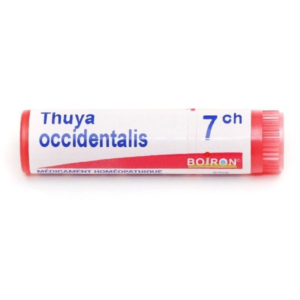 Boiron Thuya occidentalis dose - 7 CH